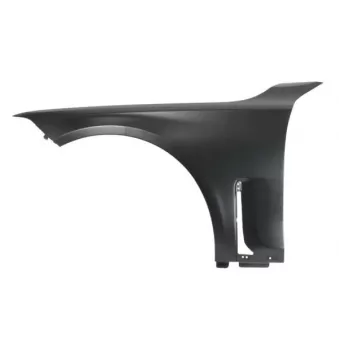 Aile avant gauche BLIC 6504-04-0079311AP