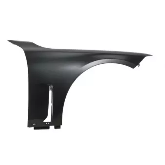 Aile avant BLIC 6504-04-0079312AP