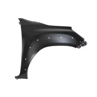 Aile avant droit BLIC 6504-04-8176312P