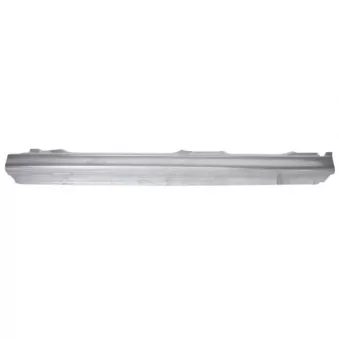 Plaque de seuil BLIC 6505-06-0031011P