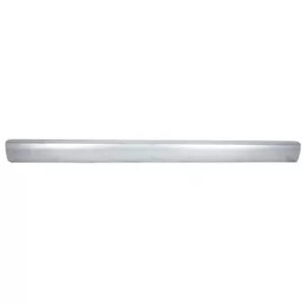 Plaque de seuil BLIC 6505-06-9516014P Plaque de seuil BLIC 6505-06-9516014P