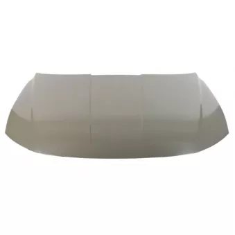 Capot-moteur BLIC 6803-00-3187280P pour FIAT SCUDO 1.6 T-GDi Hybrid - 230cv