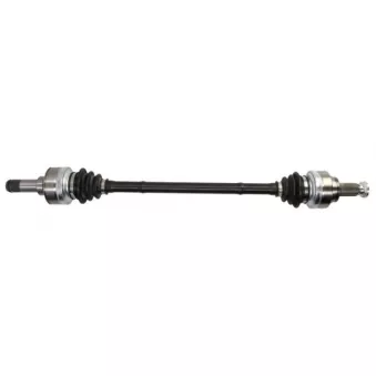 Arbre de transmission arrière droit PASCAL G2B026PC