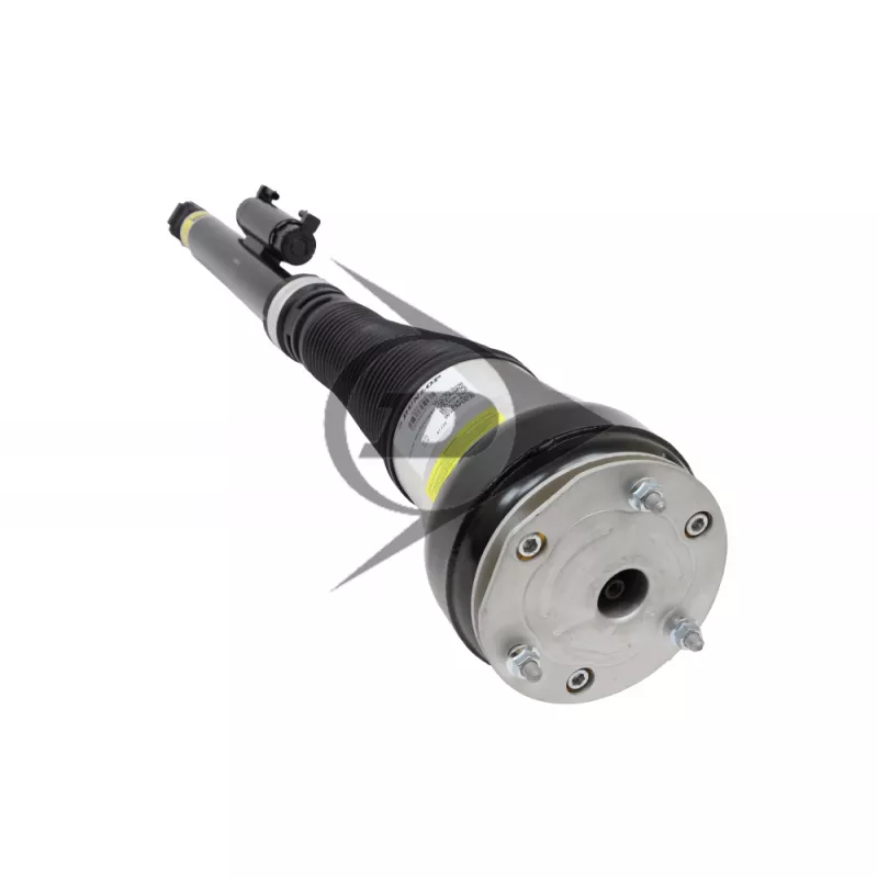 Armortisseur pneumatique arrière droit Dunlop Airsuspension 71222 - Visuel 1