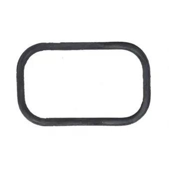 Joint d'étanchéité, pompe à carburant ENGITECH OEM 4847092