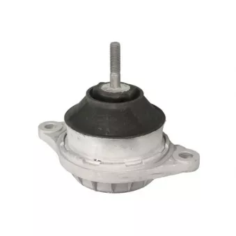 Support moteur REINHOCH RH11-0182 pour RENAULT CLIO 2.3 E quattro - 134cv