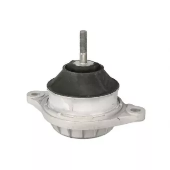 Support moteur REINHOCH RH11-0183 pour RENAULT CLIO 2.3 E quattro - 134cv