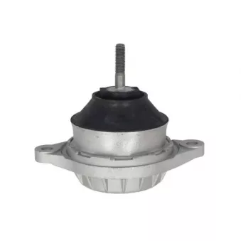 Support moteur REINHOCH RH11-0184 pour AUDI A6 1.9 TDI - 90cv