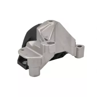 Support moteur REINHOCH RH11-2167 pour MINI MINI PACEMAN 1.6 16V - 105cv