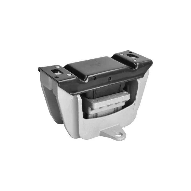 Support moteur REINHOCH RH12-0047 - Visuel 1