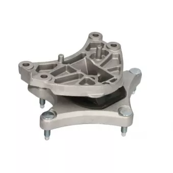 Suspension, boîte automatique REINHOCH RH12-3036 pour HYUNDAI LANTRA C 250 CDI 4-matic - 204cv