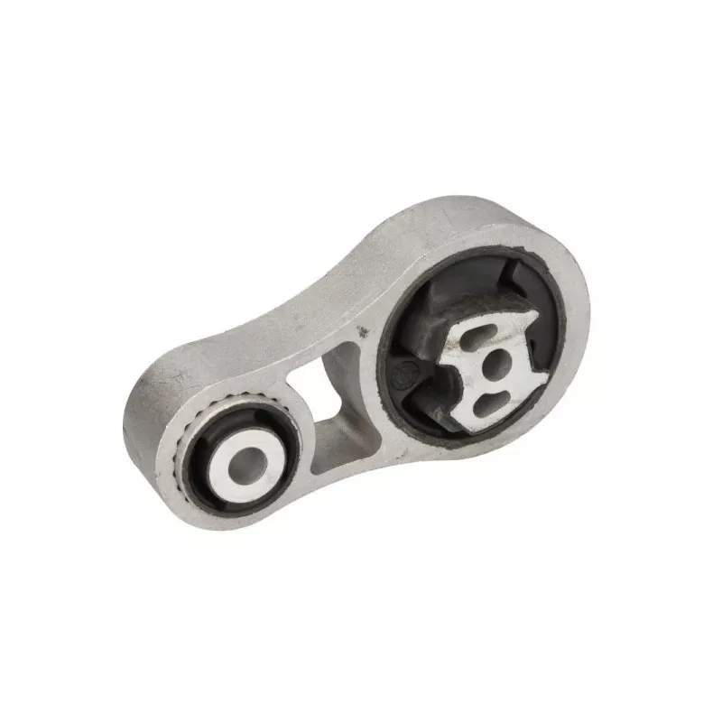 Suspension, boîte de vitesse manuelle REINHOCH RH12-4024 - Visuel 1