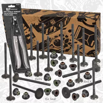 Kit de soupapes, soupapes d'admission/d'échappement ET ENGINETEAM OEM 1113187