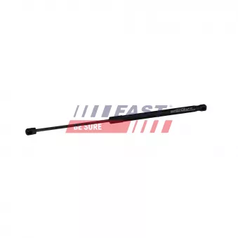 Vérin de hayon, de coffre FAST FT04415