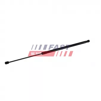 Vérin de hayon, de coffre FAST FT04419