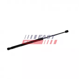 Vérin de hayon, de coffre FAST FT04420