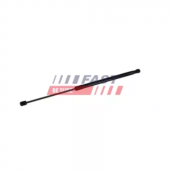 Vérin de hayon, de coffre FAST FT04435