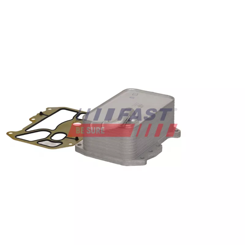 Radiateur d'huile FAST FT04607 - Visuel 1