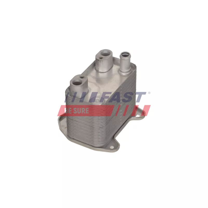 Radiateur d'huile FAST FT04631 - Visuel 1