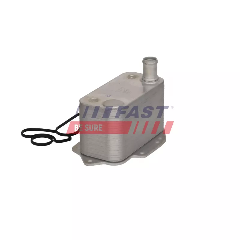 Radiateur d'huile FAST FT04656 - Visuel 1