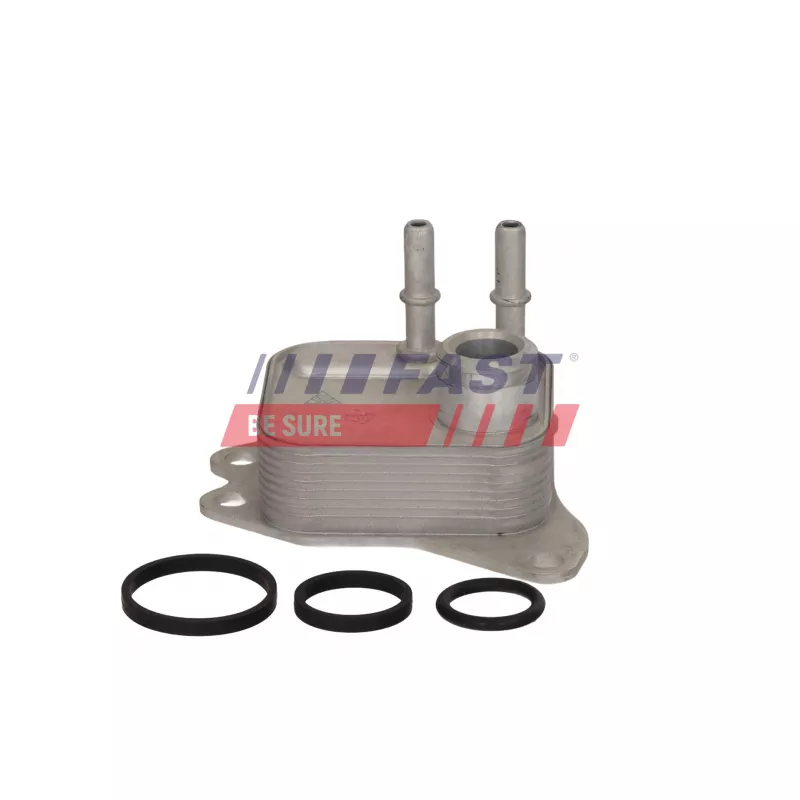 Radiateur d'huile FAST FT04662 - Visuel 2