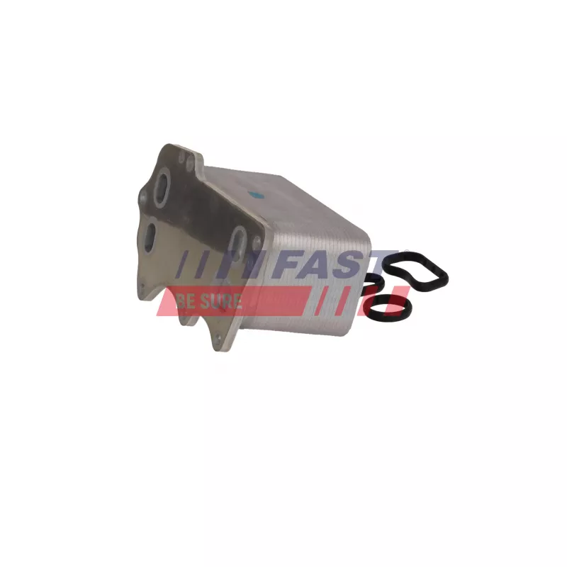 Radiateur d'huile FAST FT04672 - Visuel 1