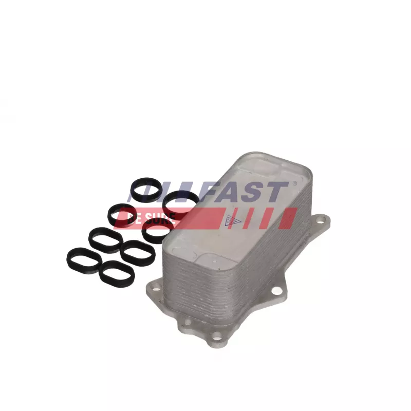 Radiateur d'huile FAST FT04681 - Visuel 1