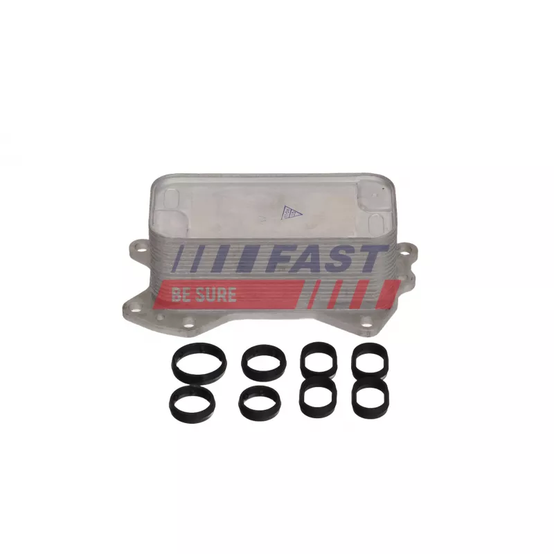 Radiateur d'huile FAST FT04681 - Visuel 2