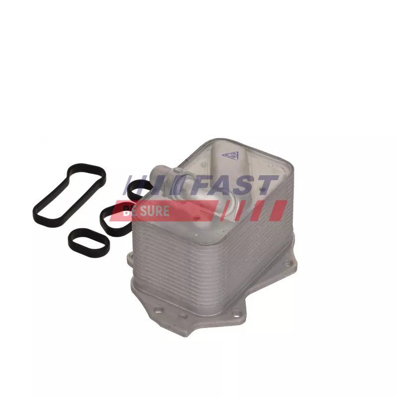 Radiateur d'huile FAST FT04687 - Visuel 1