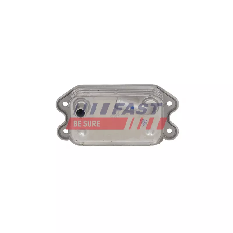 Radiateur d'huile FAST FT04699 - Visuel 2