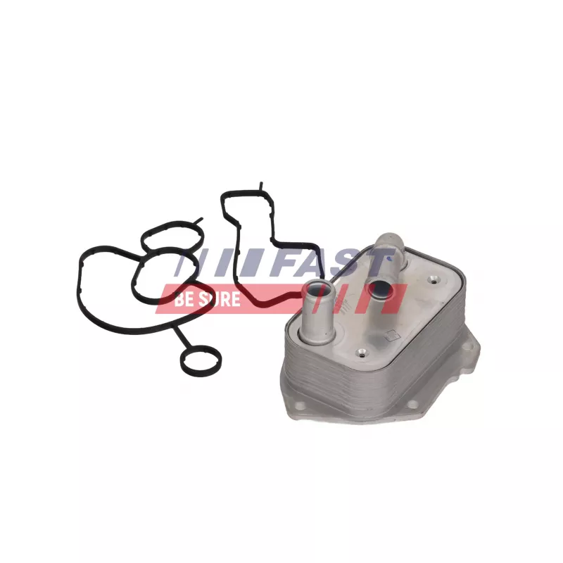 Radiateur d'huile FAST FT04708 - Visuel 1