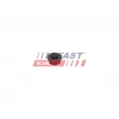 FAST FT05145 - Vis, support pour controleur d'injecteurs
