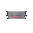 FAST FT10913 - Radiateur, refroidissement du moteur