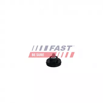 Guidage à galets, porte coulissante FAST OEM 7700308221