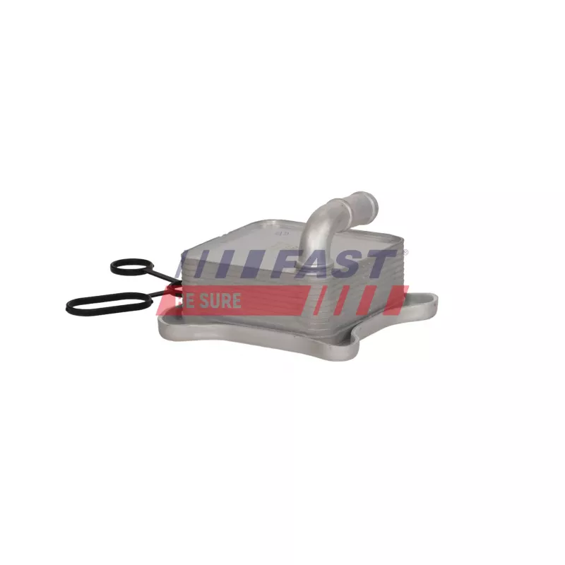 Radiateur d'huile FAST FT11980 - Visuel 1