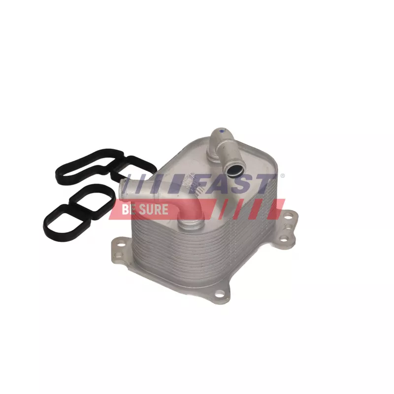 Radiateur d'huile FAST FT12496 - Visuel 1