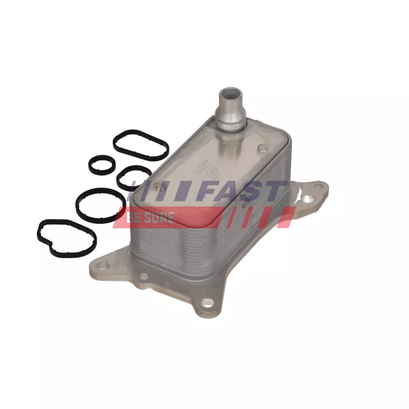 Radiateur d'huile FAST FT12525 - Visuel 1