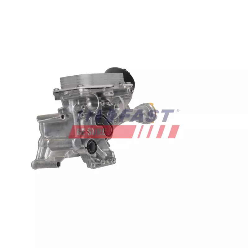 Radiateur d'huile FAST FT12535 - Visuel 1