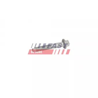 Vis, support pour controleur d'injecteurs FAST FT12955