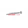 FAST FT13100 - Vis, support pour controleur d'injecteurs