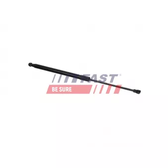 Vérin de hayon, de coffre FAST FT04412