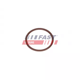 Bague d'étanchéité FAST OEM 6000632262