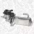 ET ENGINETEAM ED0299 - Module-EGR