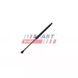 FAST FT04412 - Vérin de hayon, de coffre