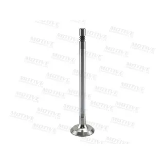 MOTIVE EV10076 - Soupape d'émission