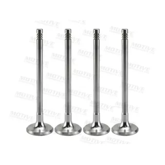 Distributeur, volet gaz d'échappement MOTIVE OEM 641340