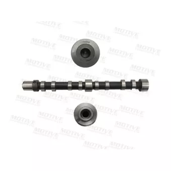 Arbre à came MOTIVE T4519