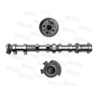 Arbre à came MOTIVE T4531