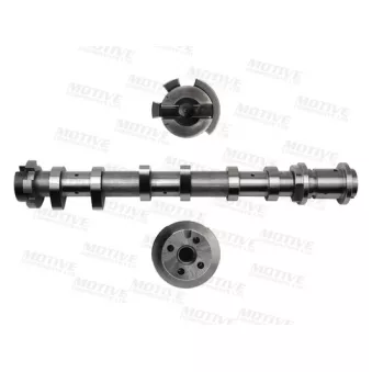 Arbre à came MOTIVE T4532