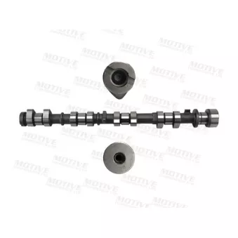 MOTIVE T4538 - Arbre à came